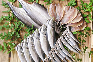 �����M�t�g