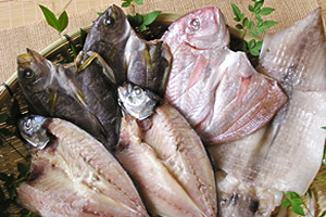 �����M�t�g